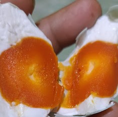 Telur Asin Omega