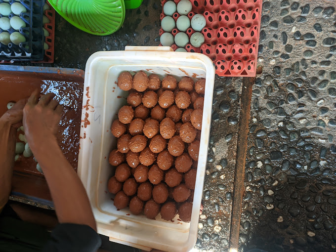 Proses Pembuatan Telur Asin BBB EGG